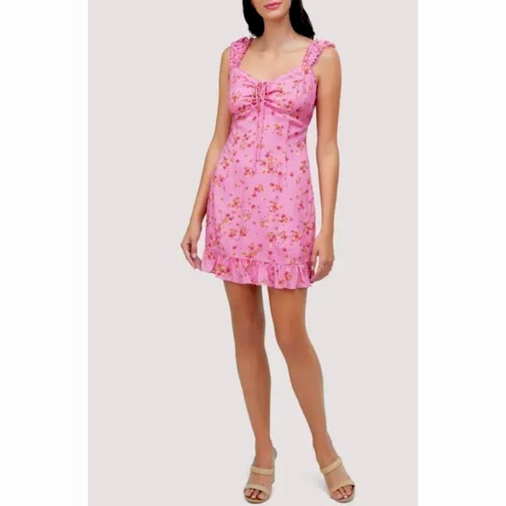 NWT LOST + WANDER Love Spell Pink Floral Mini Sundress Medium